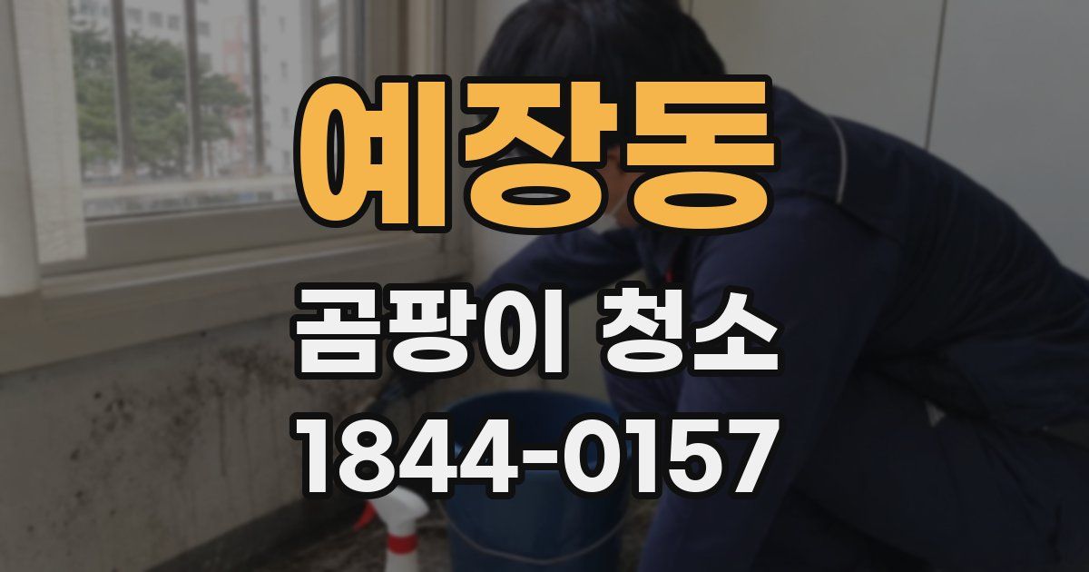 예장동 곰팡이 청소