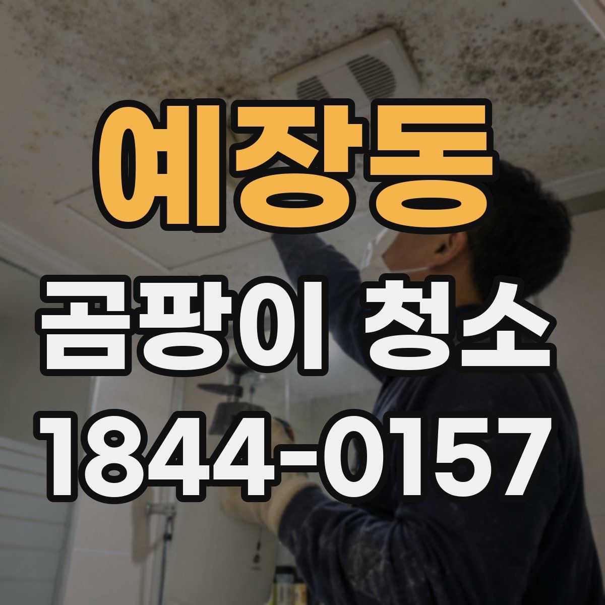 예장동 곰팡이 청소