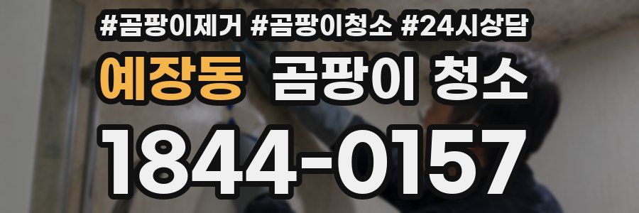 예장동 곰팡이 청소