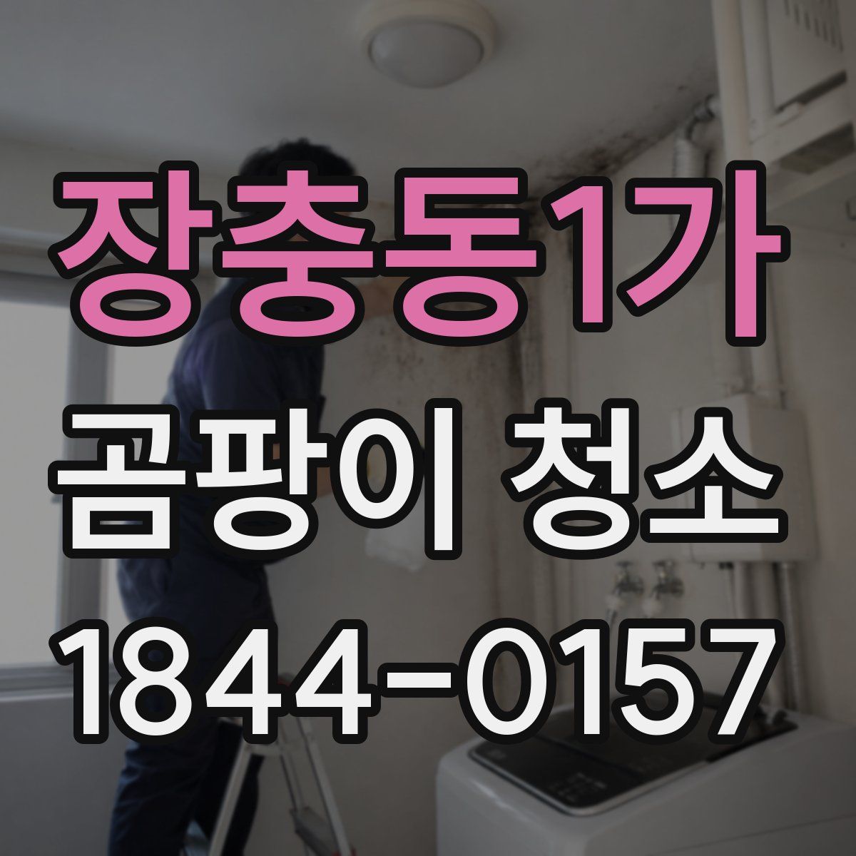 장충동1가 곰팡이 청소