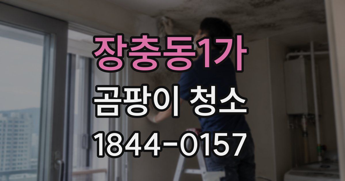 장충동1가 곰팡이 청소