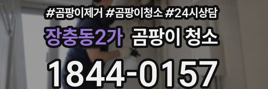 장충동2가 곰팡이 청소