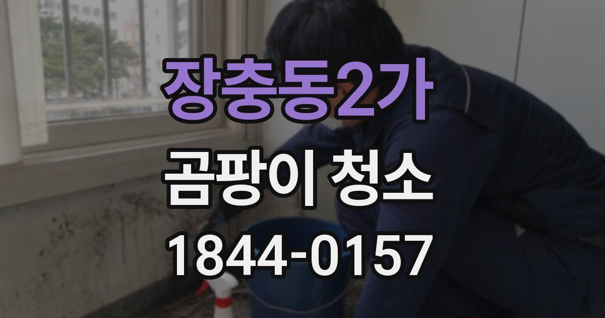 장충동2가 곰팡이 청소