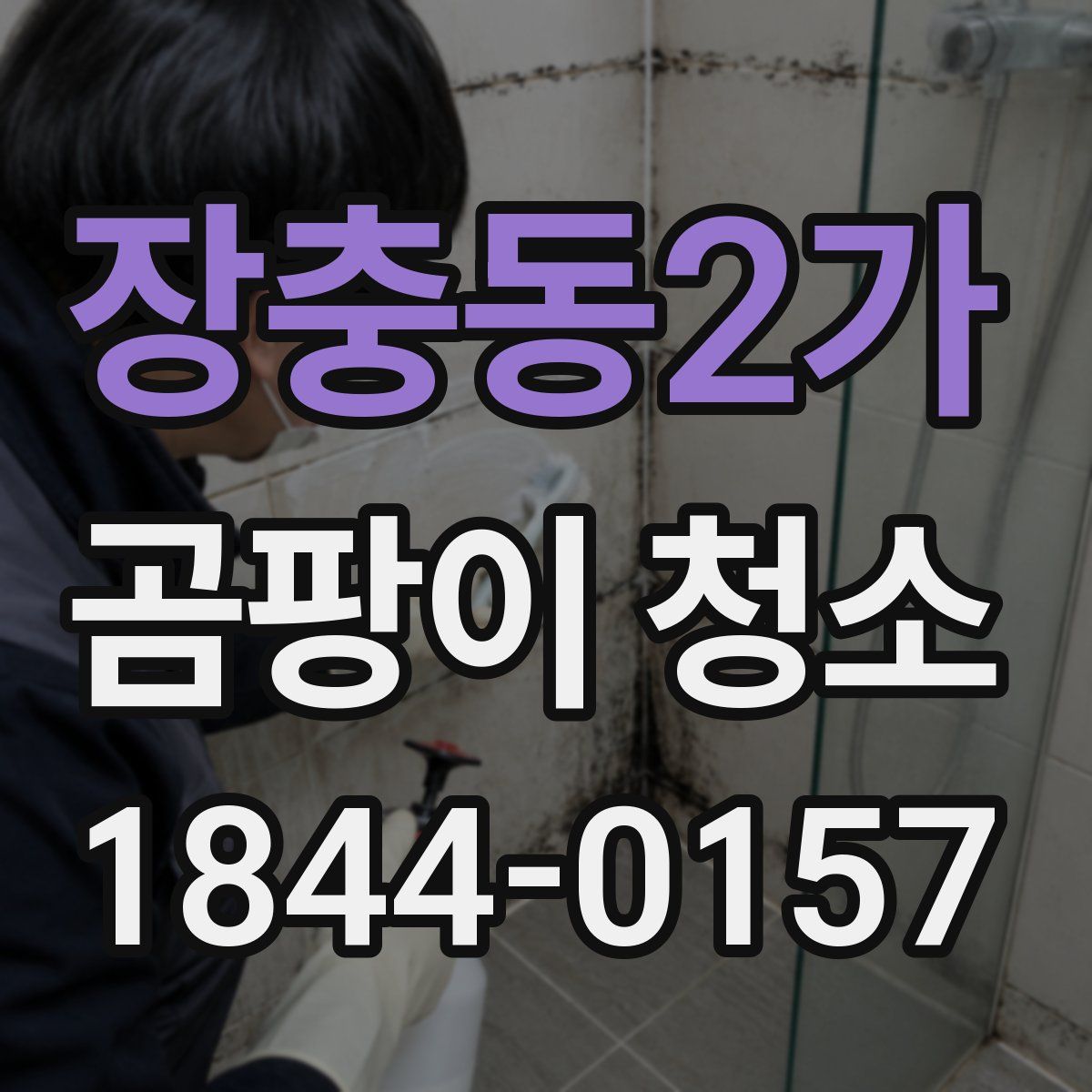 장충동2가 곰팡이 청소