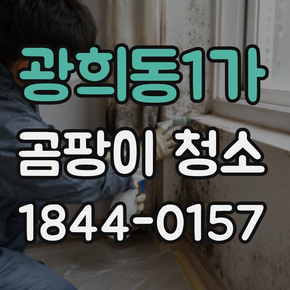 광희동1가 곰팡이 청소 방마다 다른 위생 회복 순서를 정리하는 법
