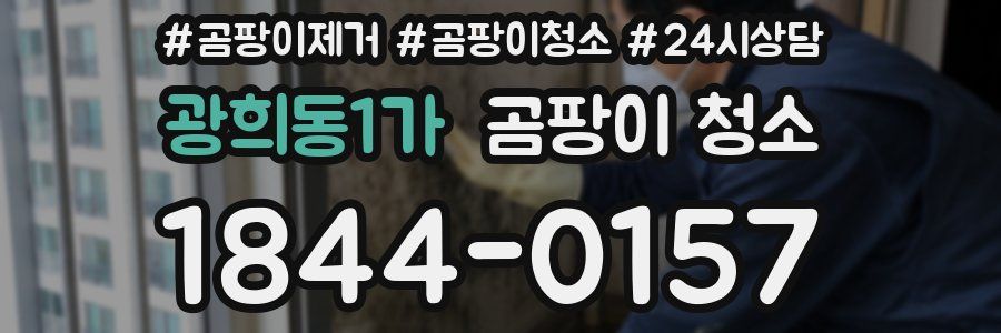 광희동1가 곰팡이 청소