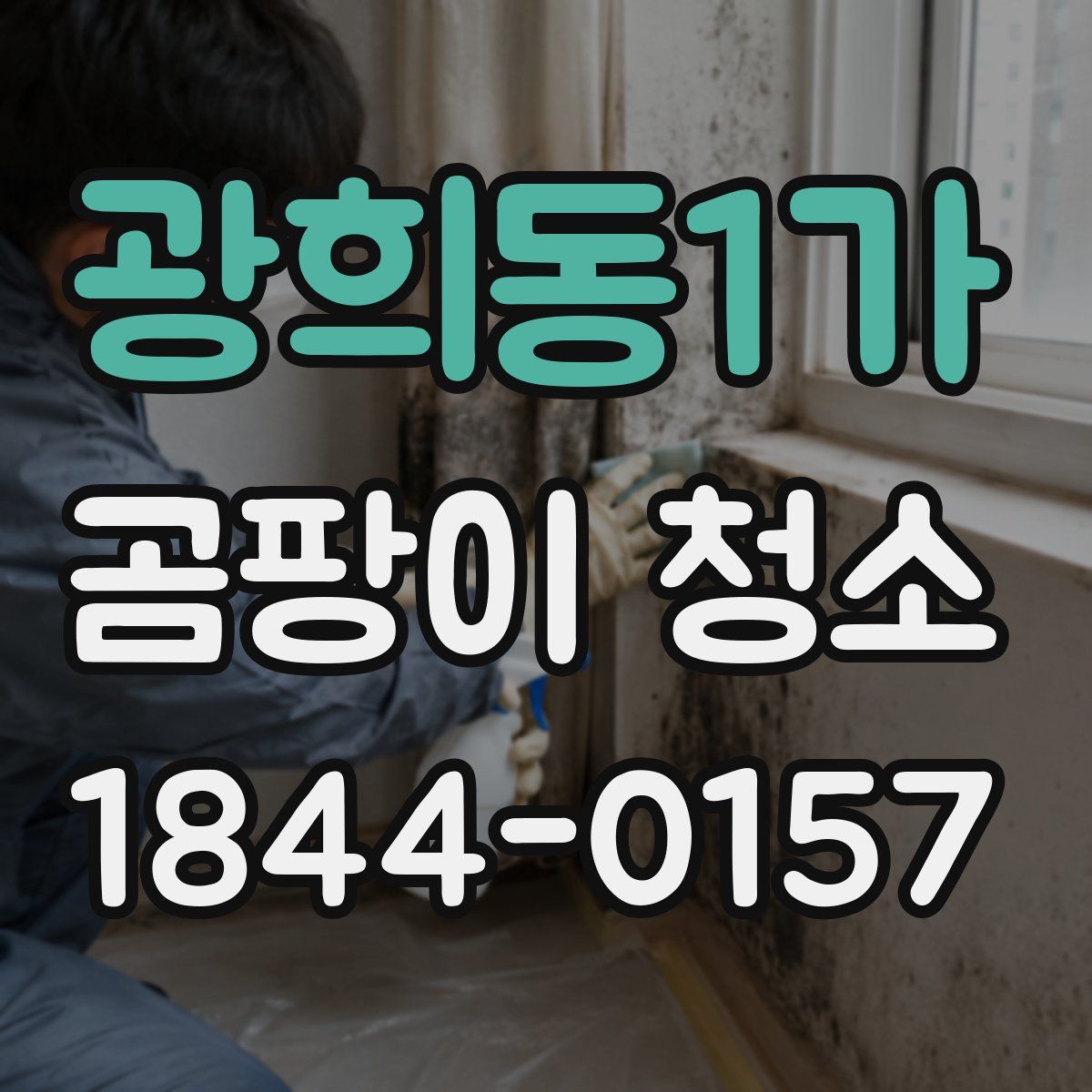 광희동1가 곰팡이 청소