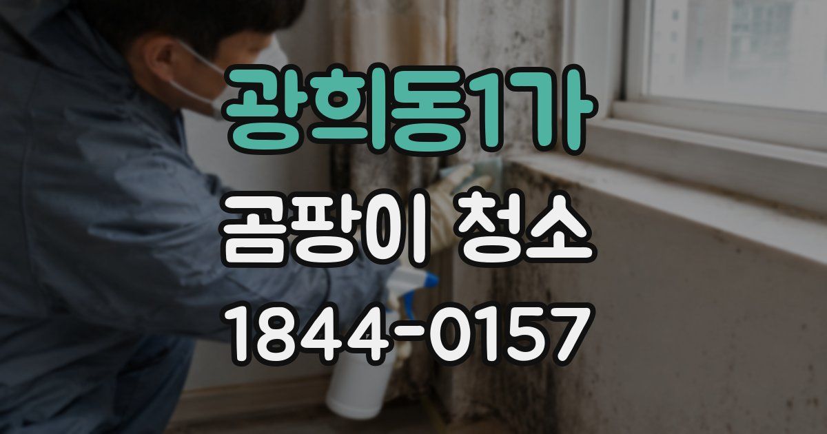광희동1가 곰팡이 청소
