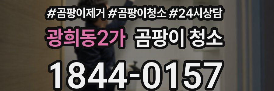 광희동2가 곰팡이 청소