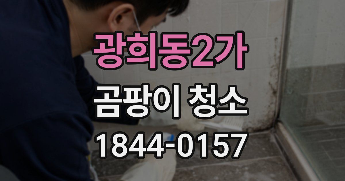 광희동2가 곰팡이 청소