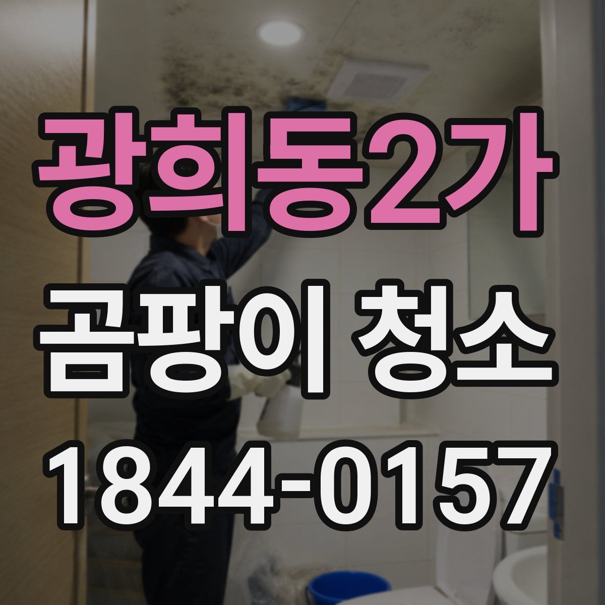 광희동2가 곰팡이 청소