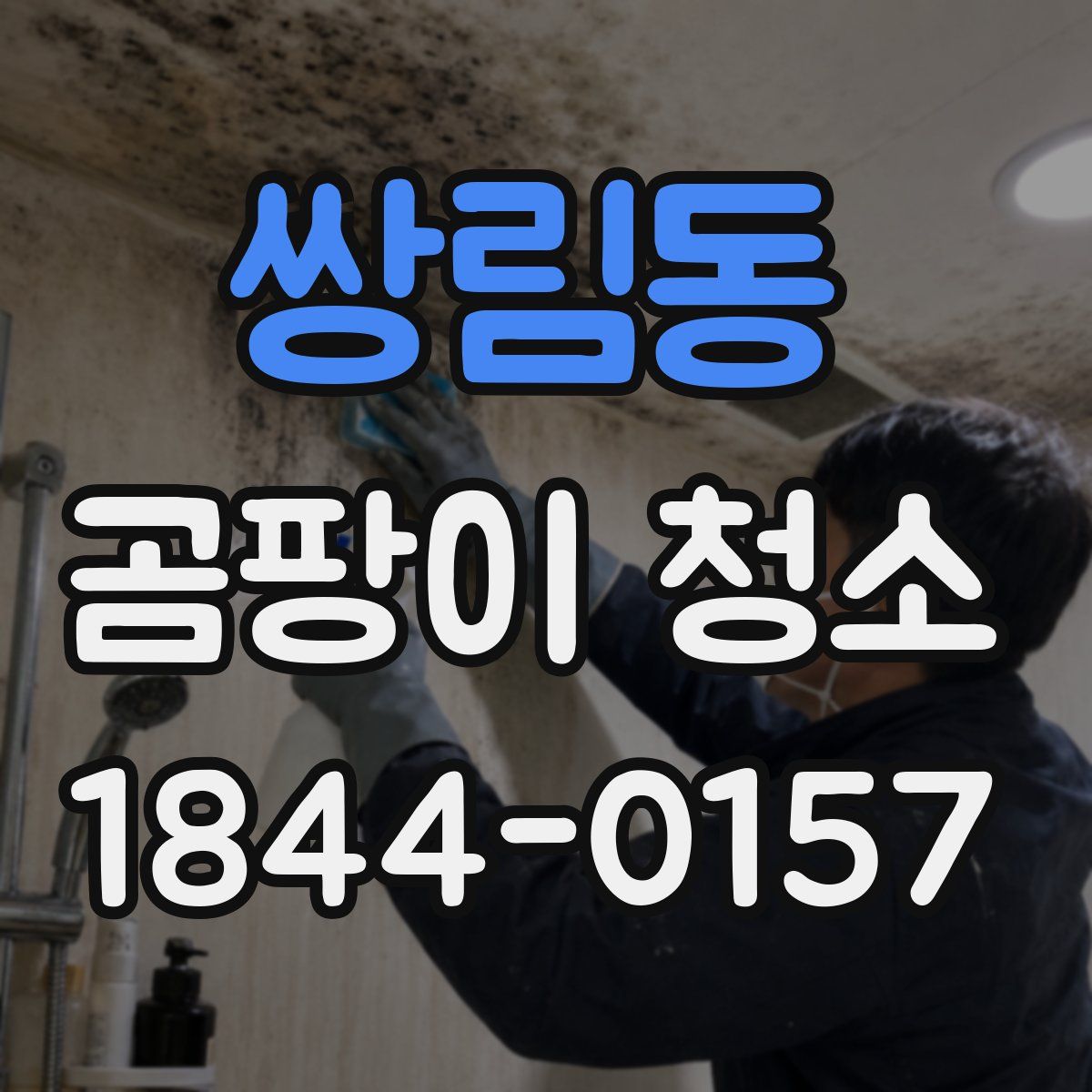 쌍림동 곰팡이 청소
