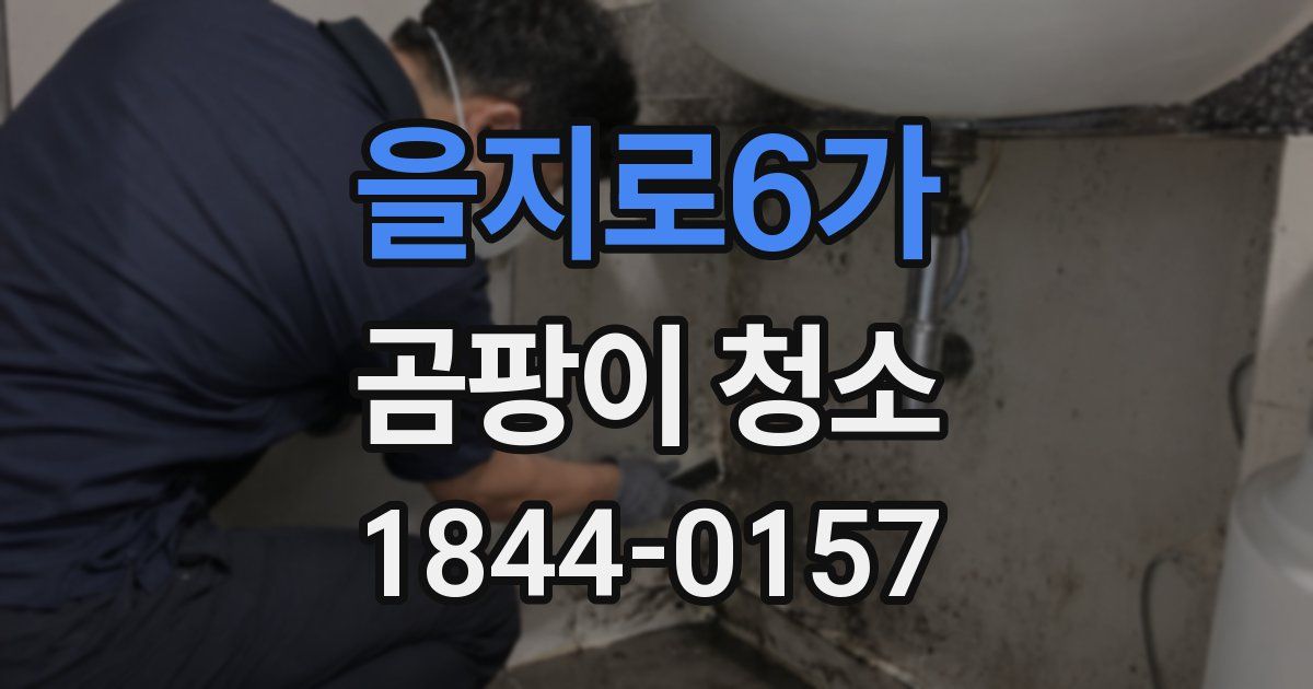 을지로6가 곰팡이 청소