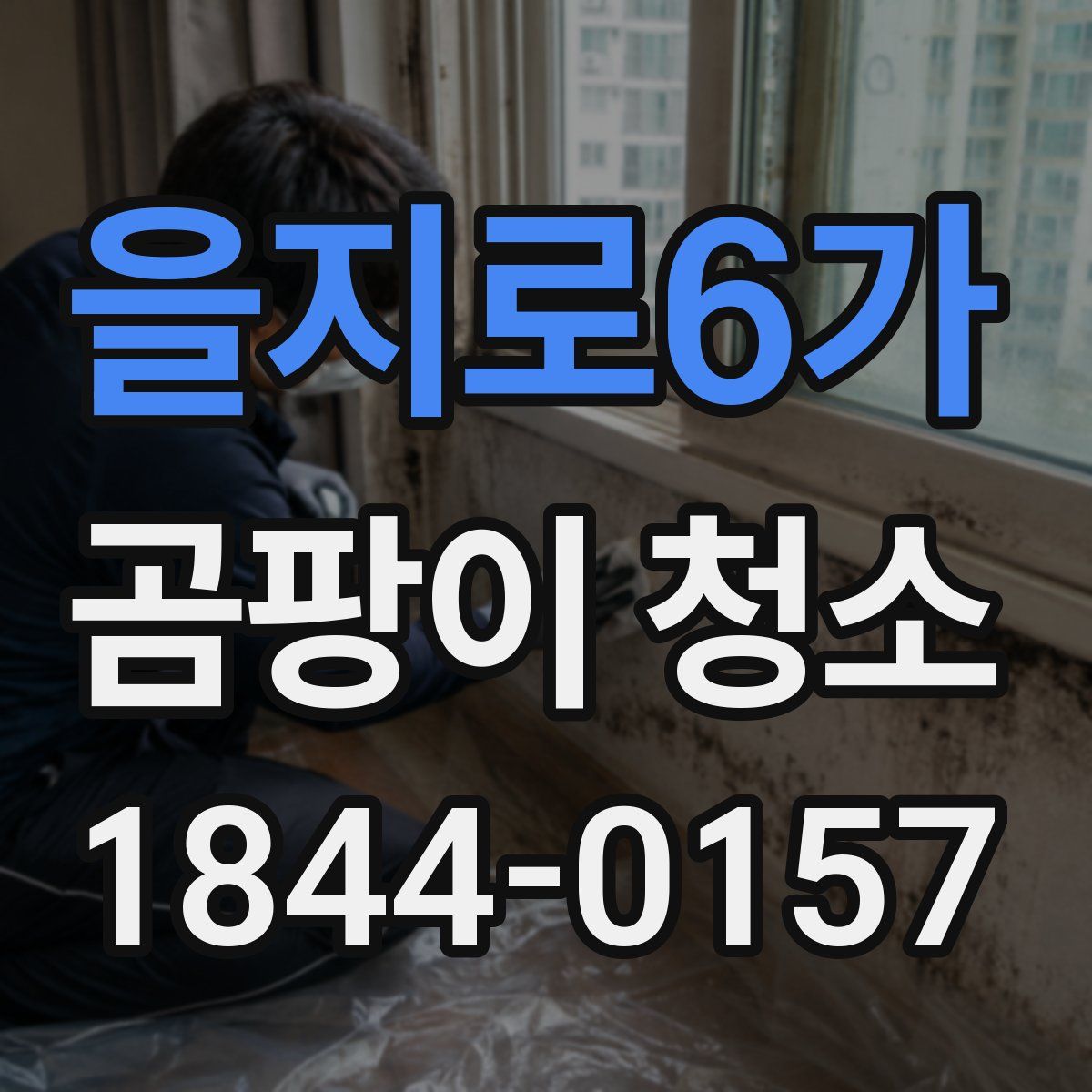 을지로6가 곰팡이 청소