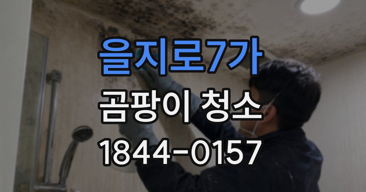 을지로7가 곰팡이 청소