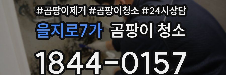 을지로7가 곰팡이 청소