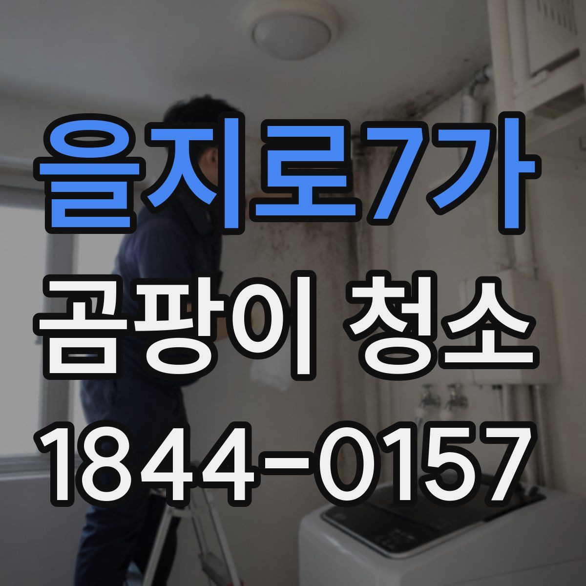 을지로7가 곰팡이 청소