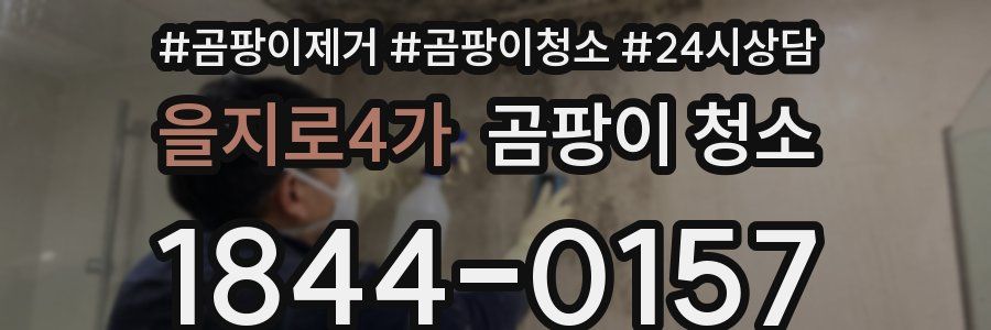 을지로4가 곰팡이 청소
