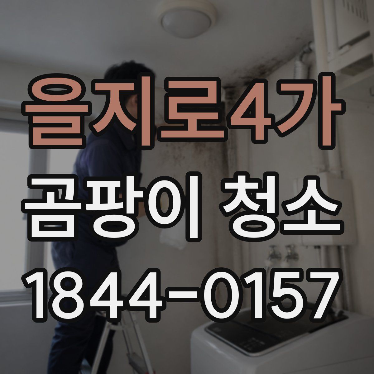 을지로4가 곰팡이 청소