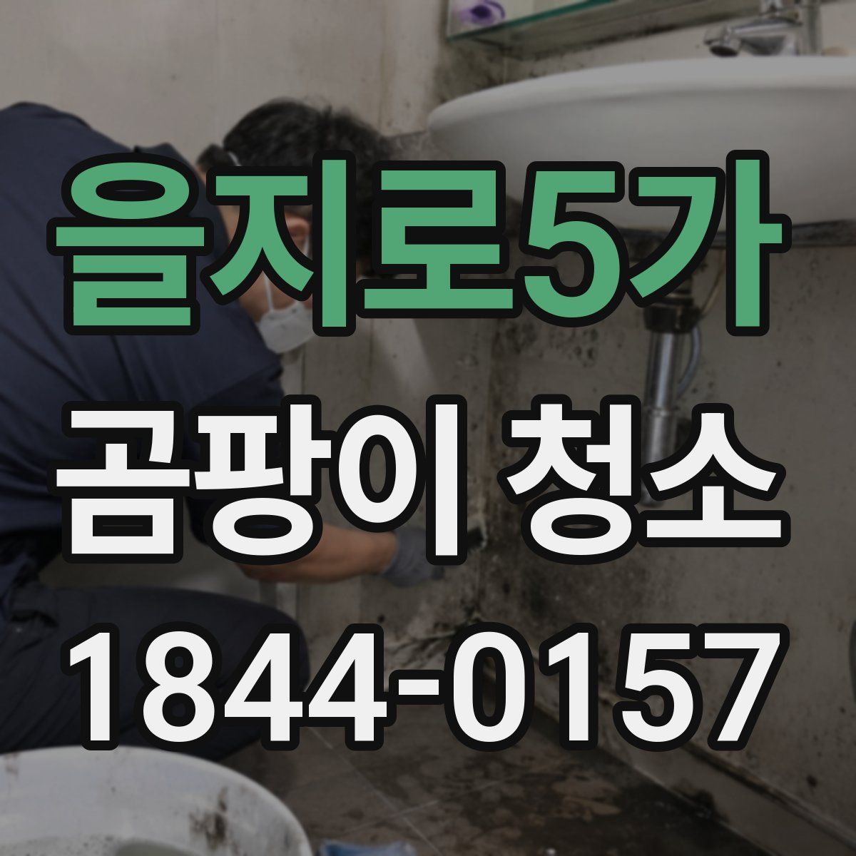 을지로5가 곰팡이 청소