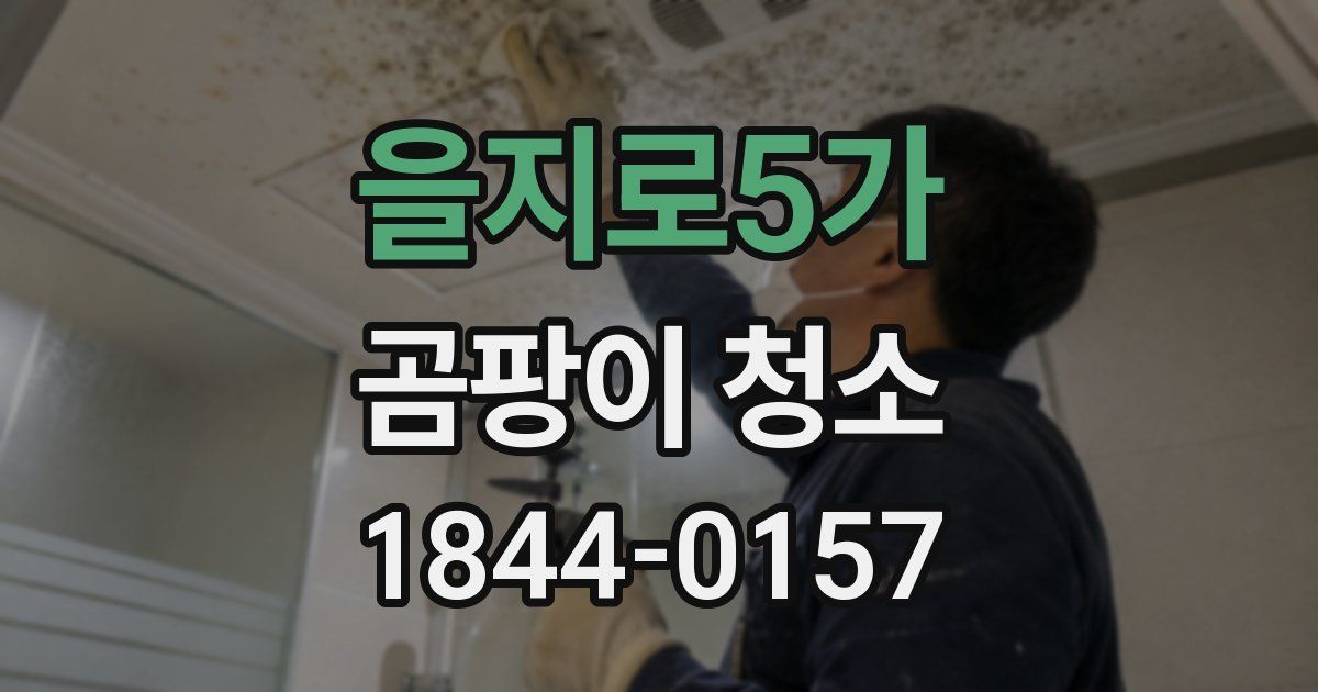 을지로5가 곰팡이 청소