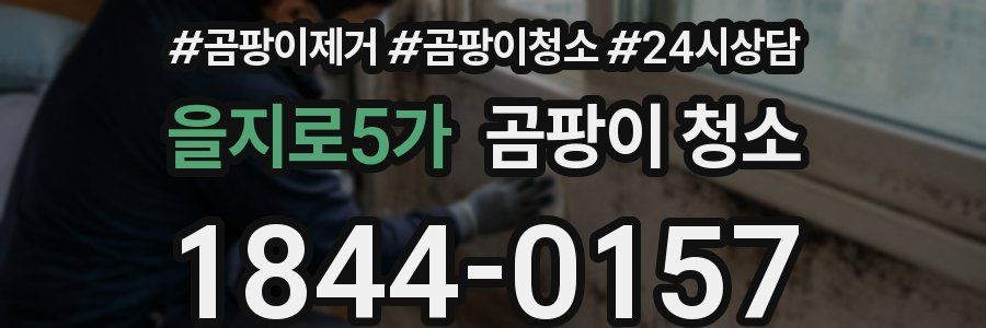 을지로5가 곰팡이 청소