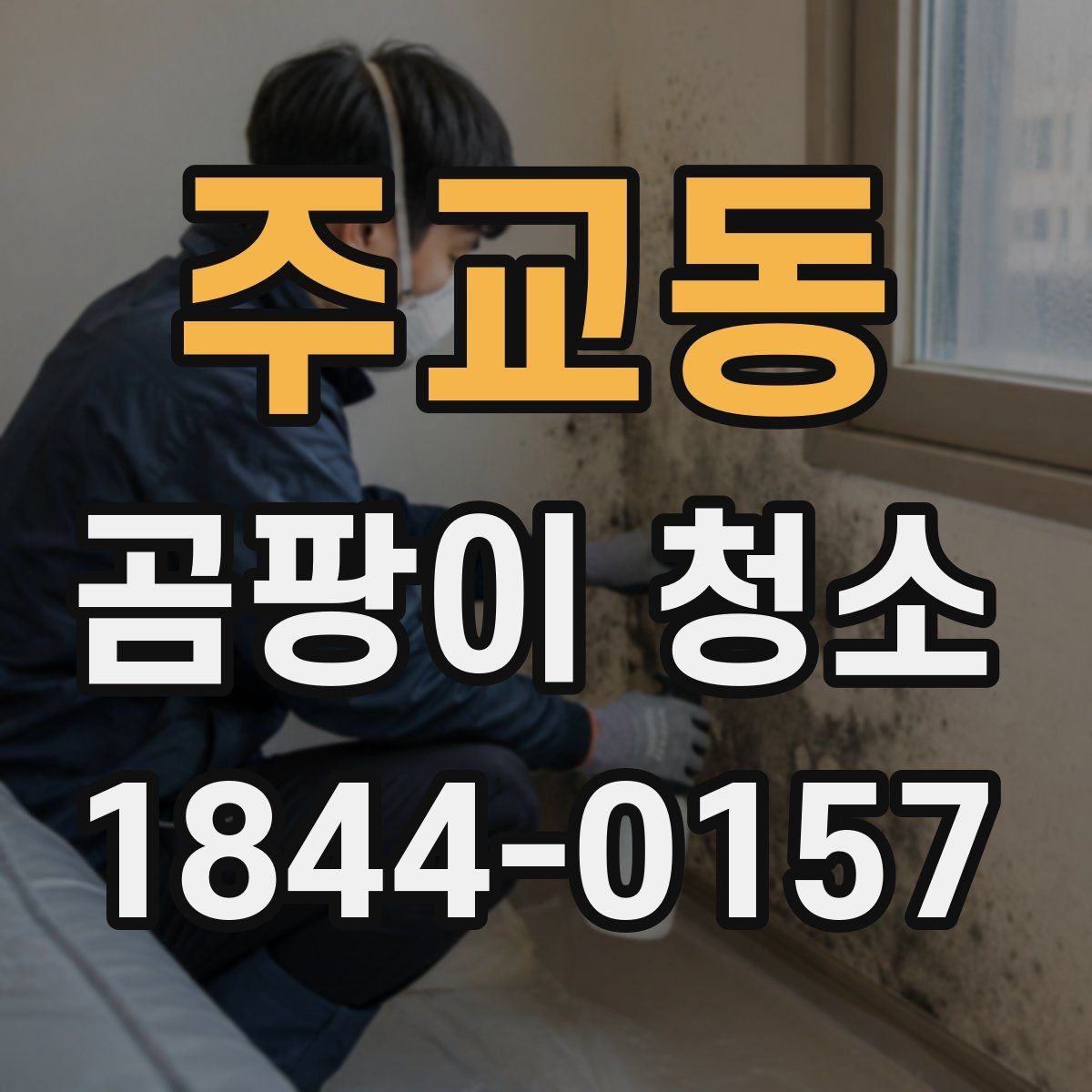 주교동 곰팡이 청소 주거 공간별로 달라지는 접근법과 범위
