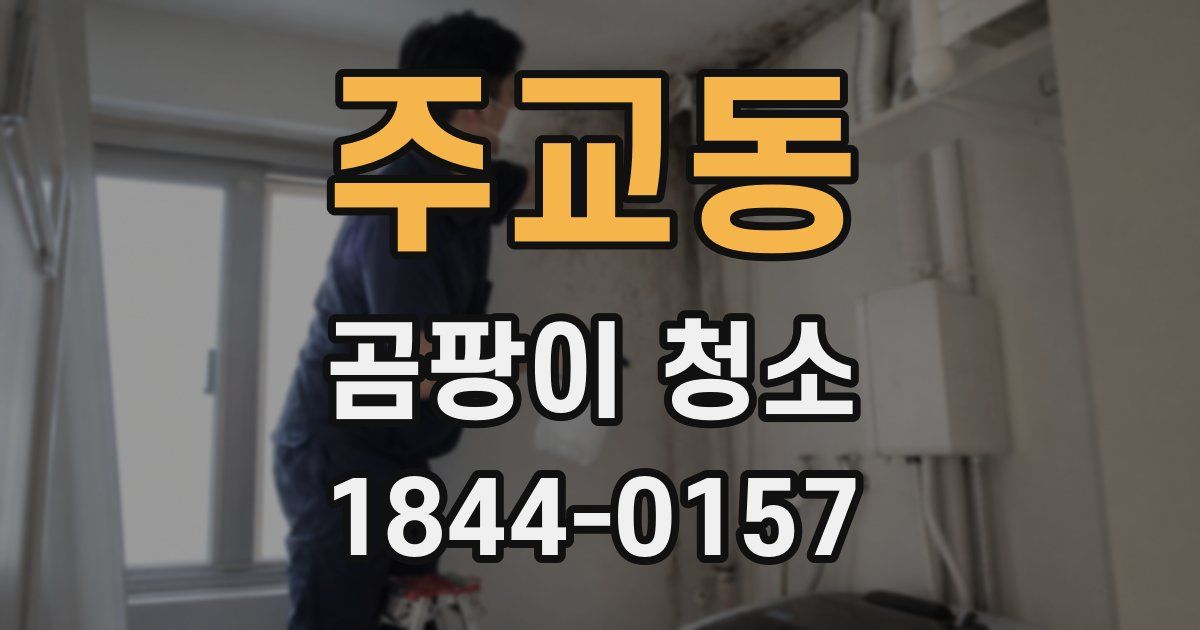 주교동 곰팡이 청소