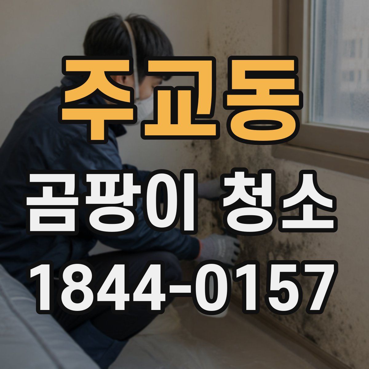 주교동 곰팡이 청소