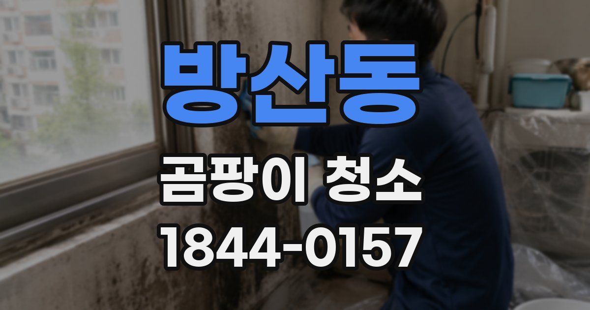 방산동 곰팡이 청소