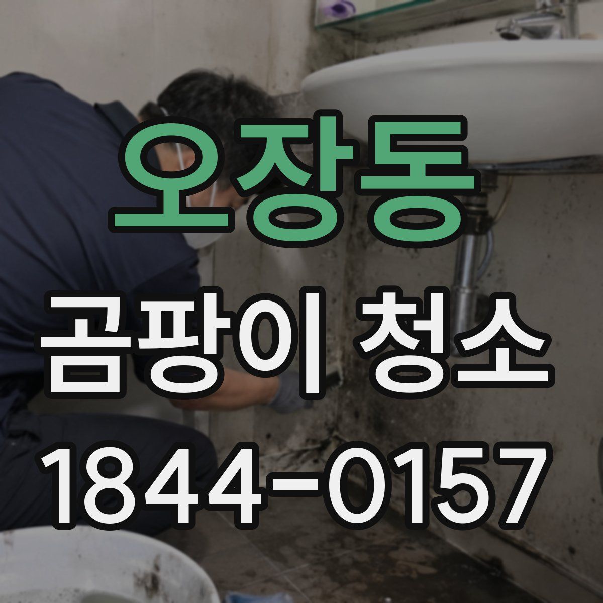오장동 곰팡이 청소