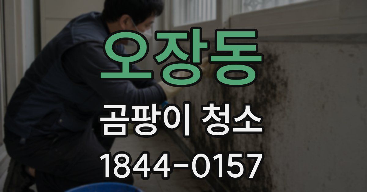 오장동 곰팡이 청소