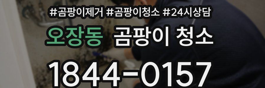 오장동 곰팡이 청소