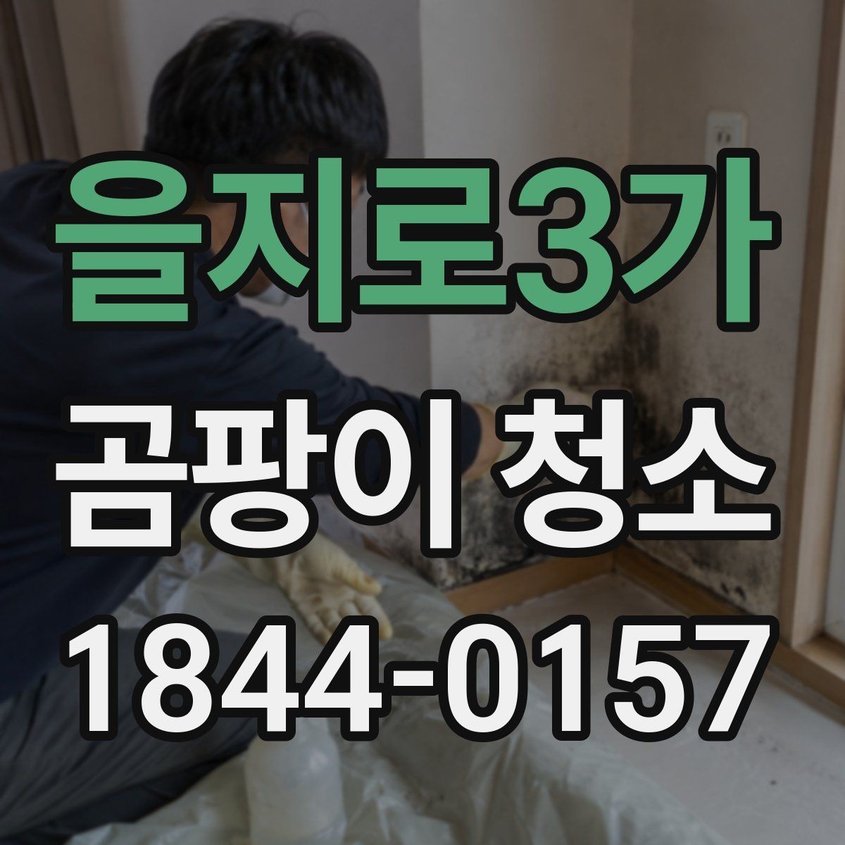 을지로3가 곰팡이 청소 전 번식 원인부터 살펴보는 점검 포인트