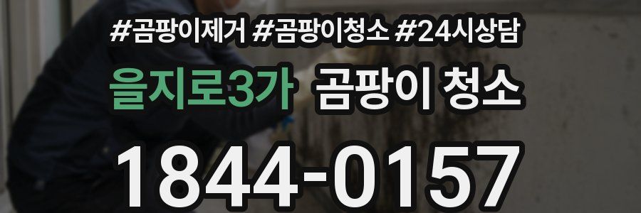 을지로3가 곰팡이 청소