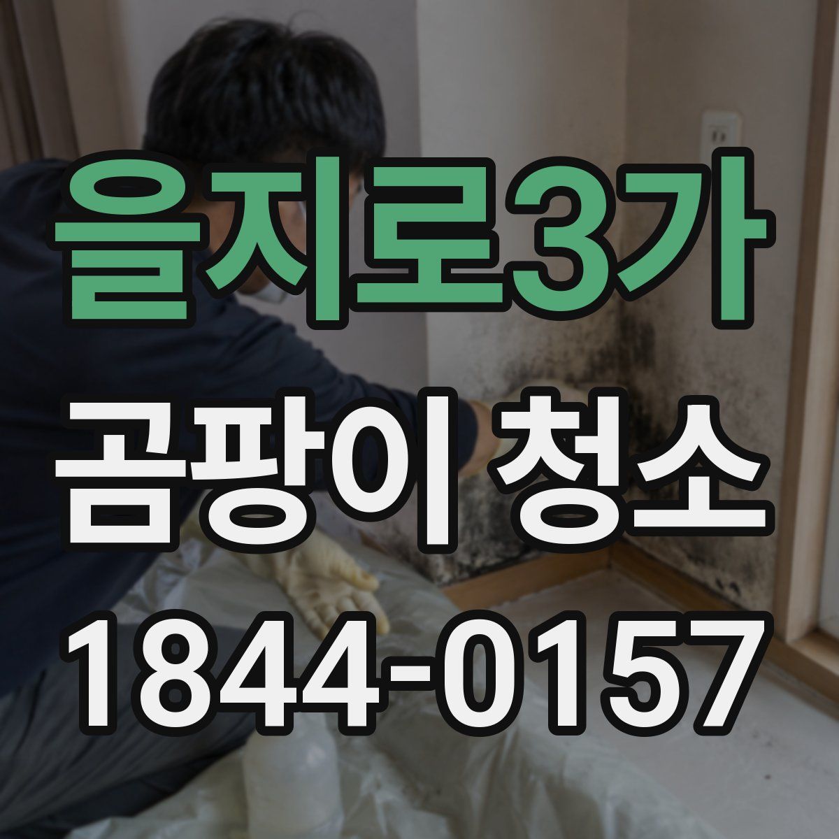 을지로3가 곰팡이 청소