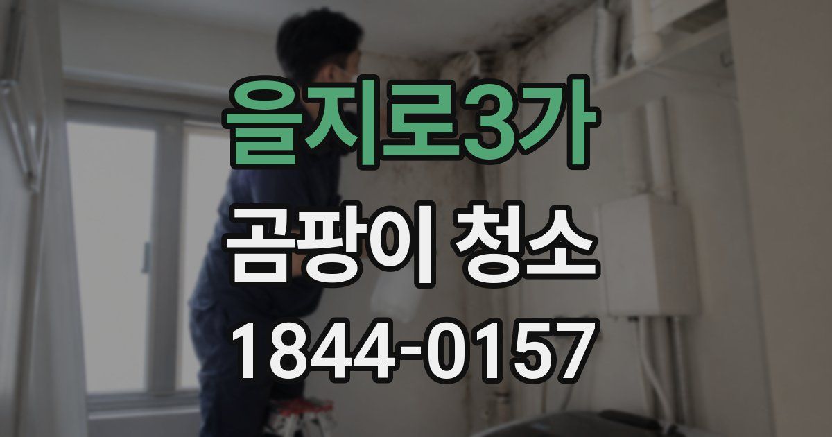 을지로3가 곰팡이 청소