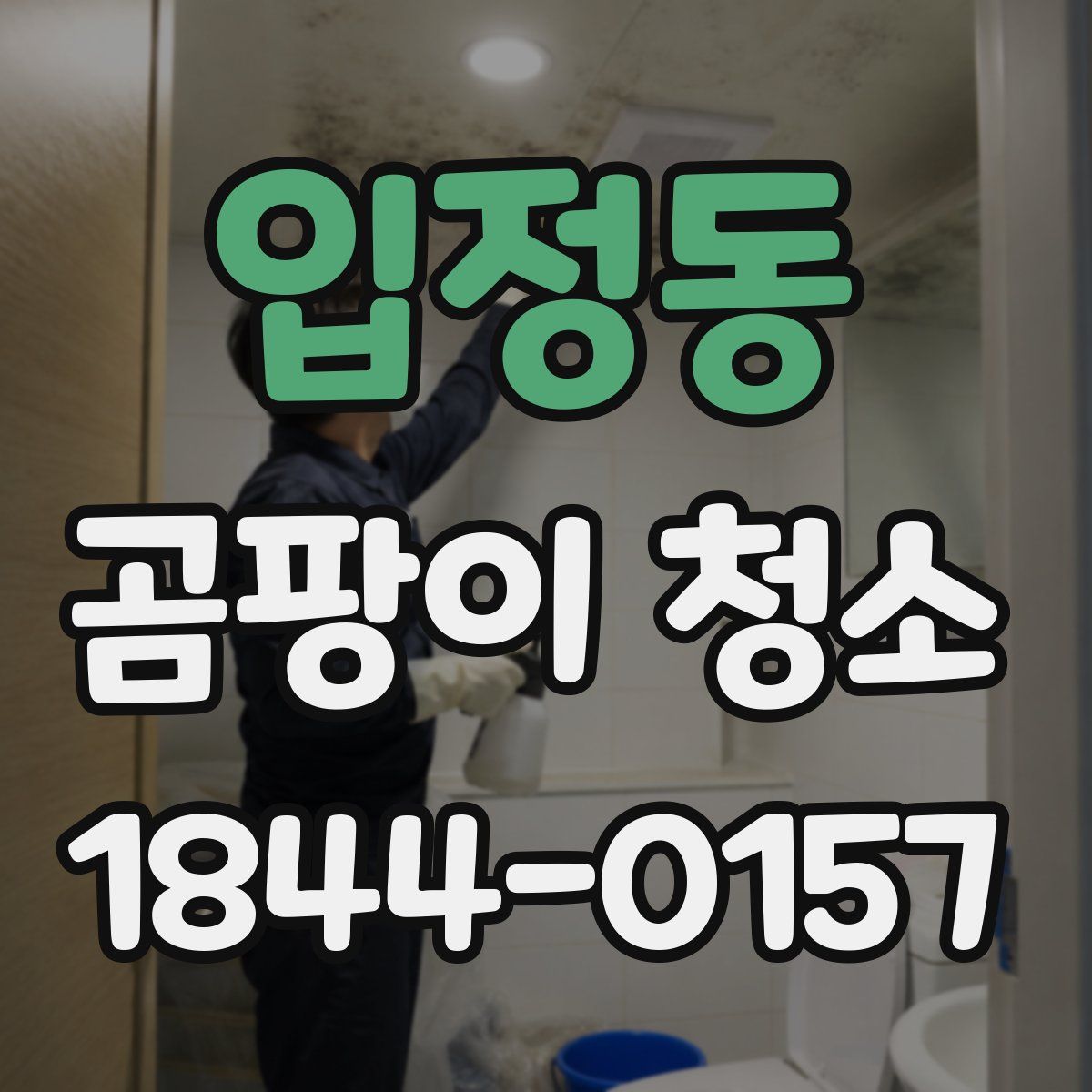 입정동 곰팡이 청소