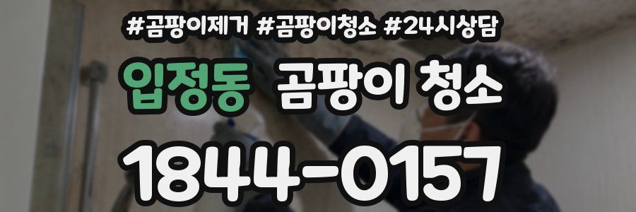 입정동 곰팡이 청소
