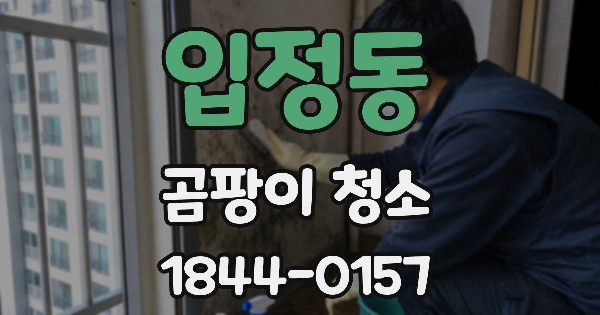 입정동 곰팡이 청소