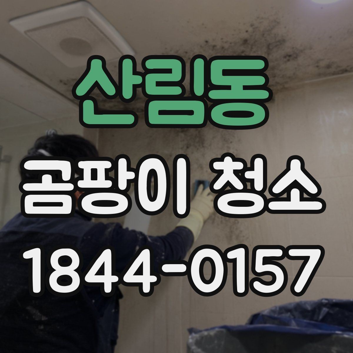 산림동 곰팡이 청소 약품 사용 전 마감재 안전을 보는 법