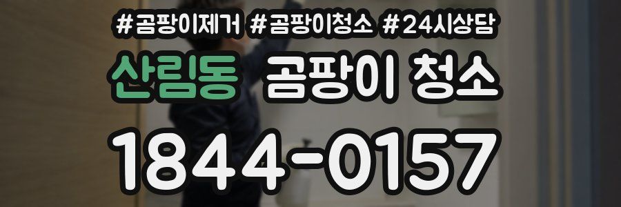 산림동 곰팡이 청소