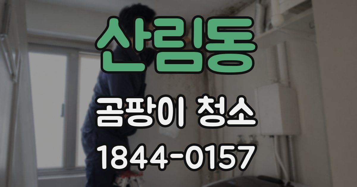 산림동 곰팡이 청소