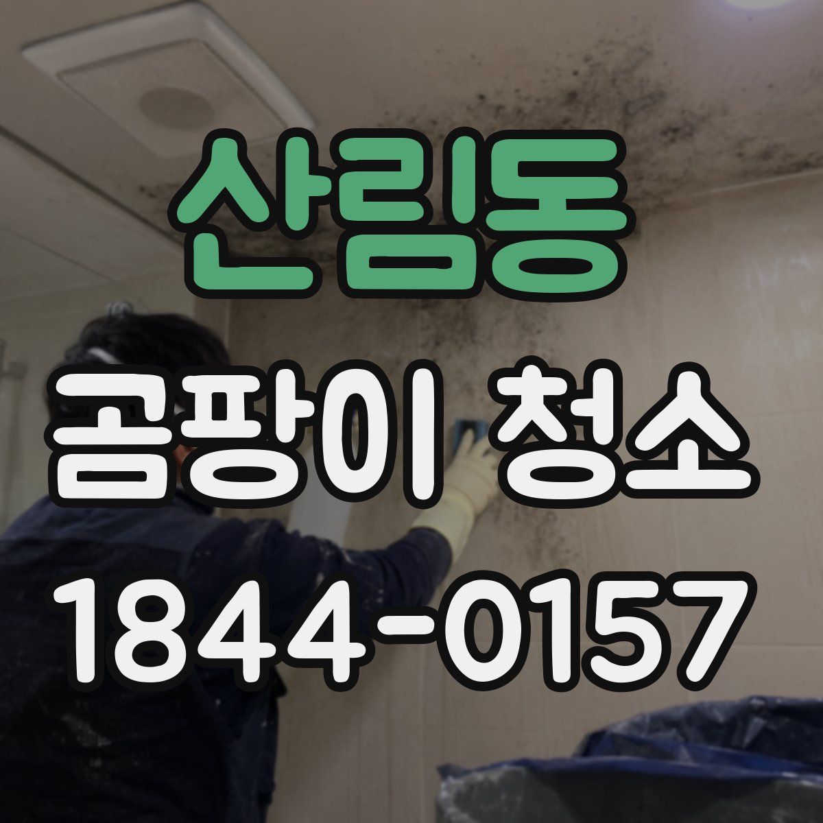 산림동 곰팡이 청소