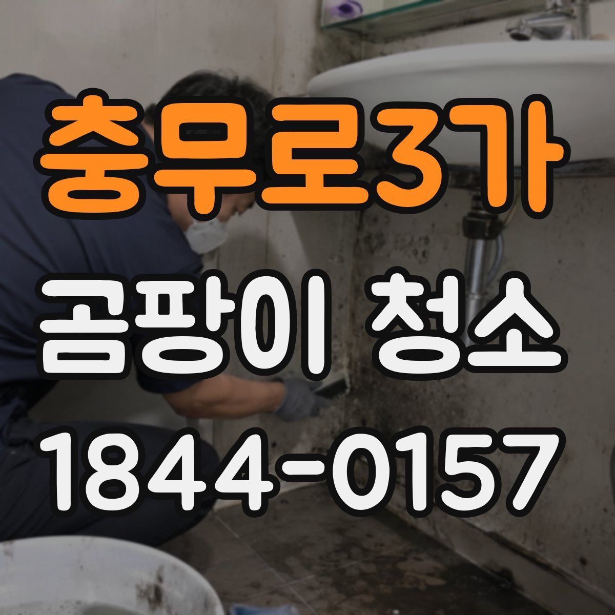 충무로3가 곰팡이 청소