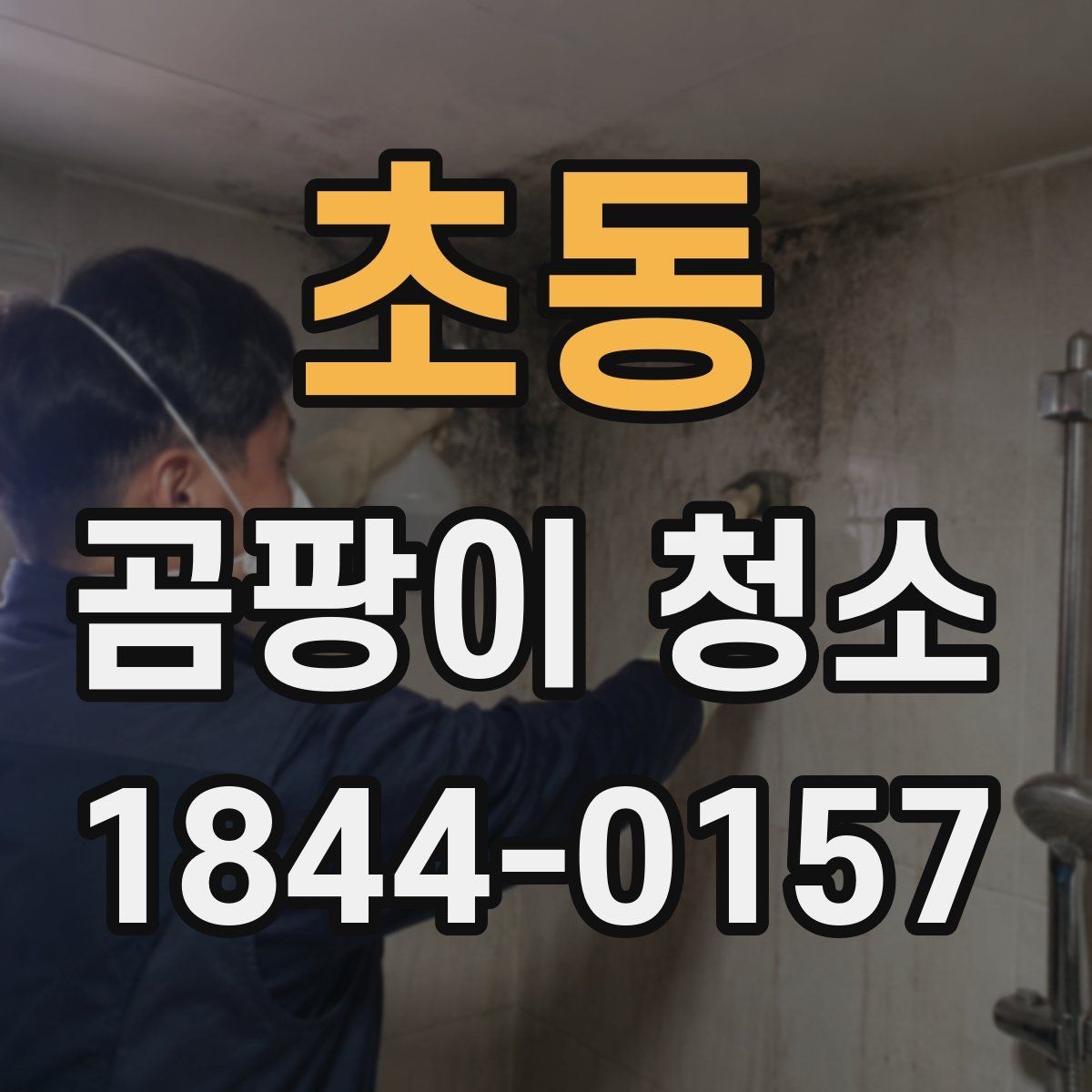 초동 곰팡이 청소 욕실과 주방을 다르게 보는 이유
