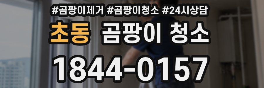 초동 곰팡이 청소