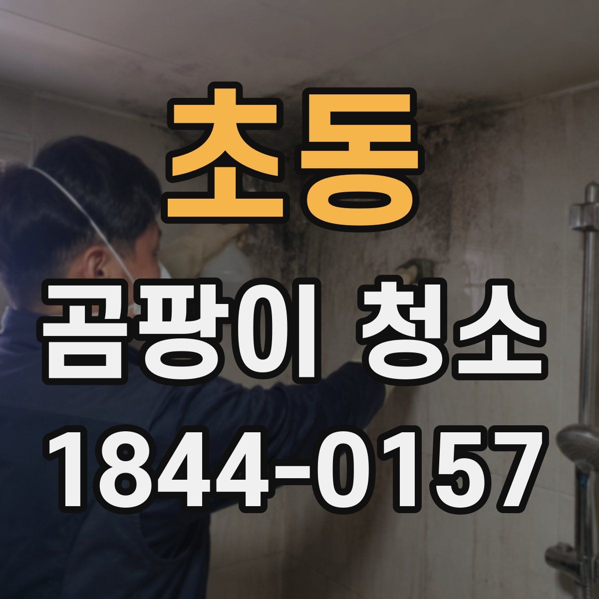 초동 곰팡이 청소