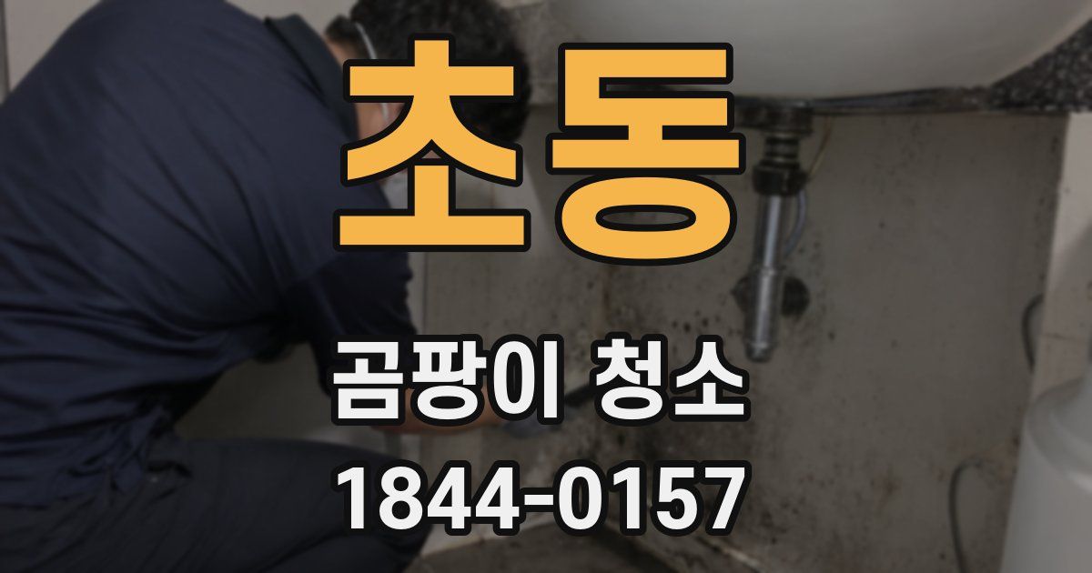 초동 곰팡이 청소