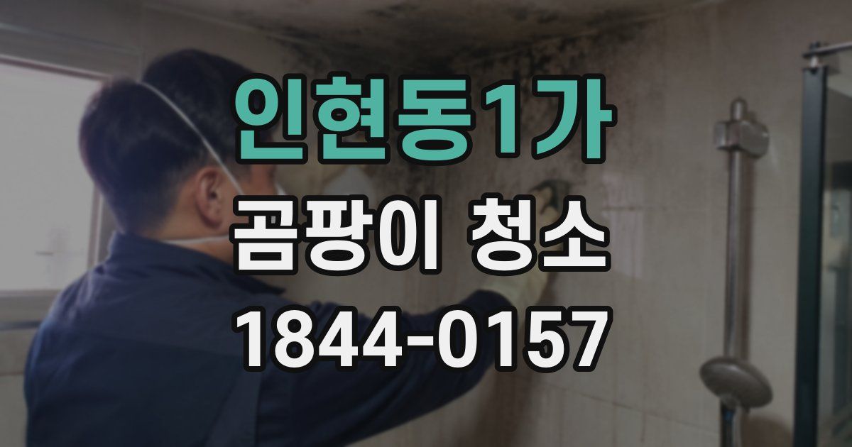 인현동1가 곰팡이 청소